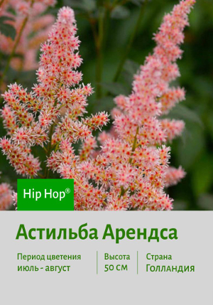�������� ������� Hip_Hop