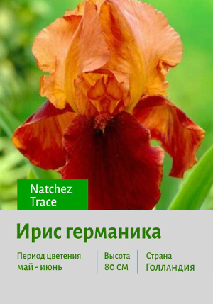 ���� ��������� Natchez_Trace