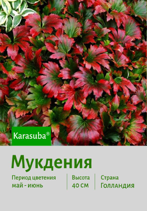 �������� Karasuba