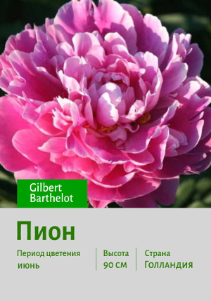���� Gilbert_Barthelot