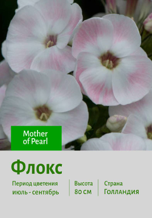 ����� Mother_of_Pearl