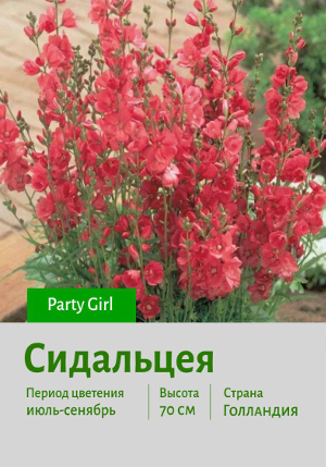 ��������� Party_Girl