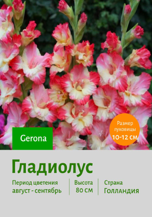 ��������� Gerona