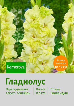 ��������� Kemerovj