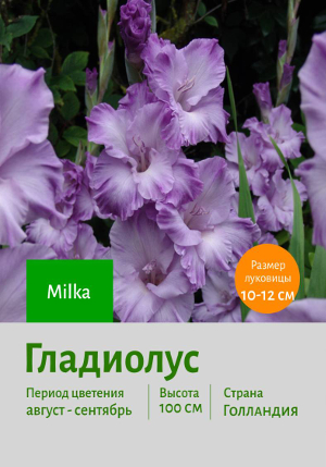 ��������� Milka