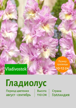 ��������� Vladivostok