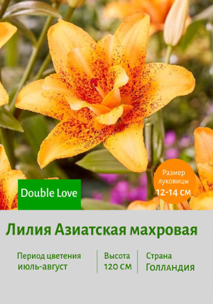 ����� Double_Love