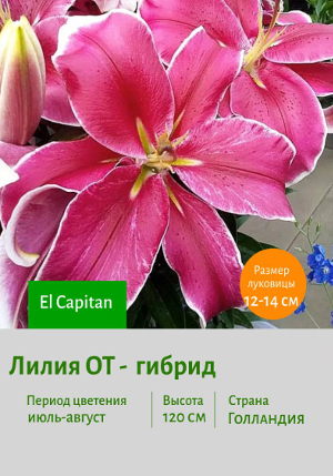 ����� El_Capitan