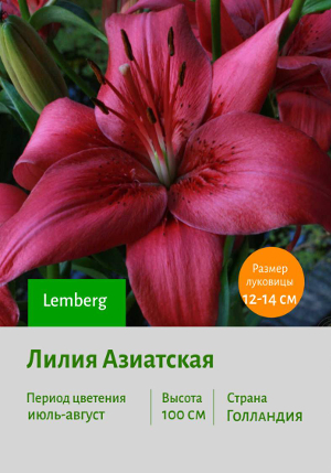 ����� Lemberg