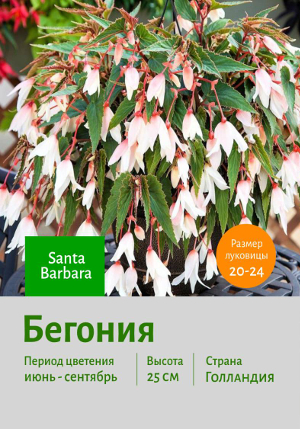 ������� Santa_Barbara