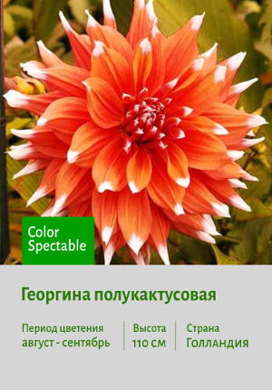 �������� Color_Spectable