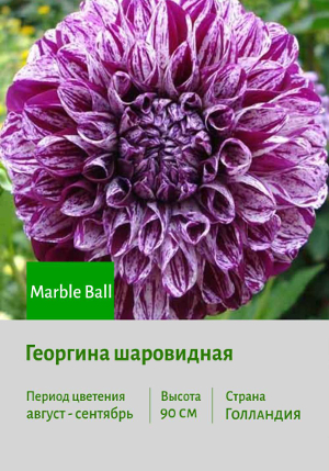 �������� Marble_Ball