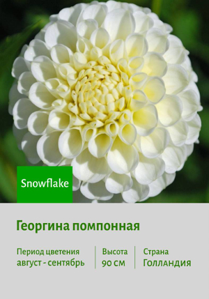 �������� Snowflake