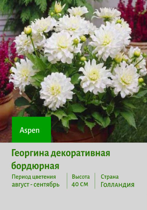 �������� Aspen