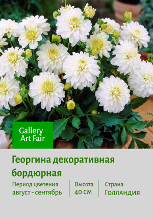 �������� Gallery_Art_Fair