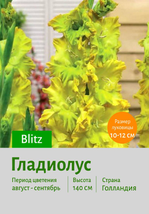 ��������� Blitz