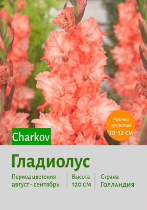 ��������� Charkov