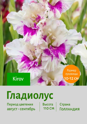��������� Kirov