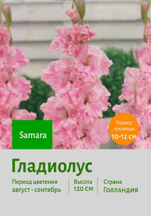 ��������� Samara