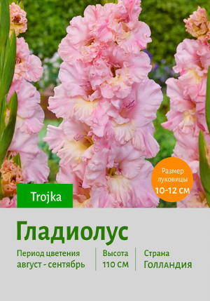 ��������� Trojka