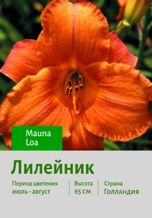 �������� Mauna_Loa
