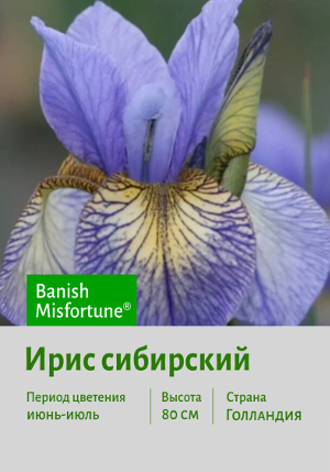 ���� ��������� Banish_Misfortune