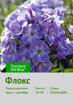 ����� Younique_Old_Blue